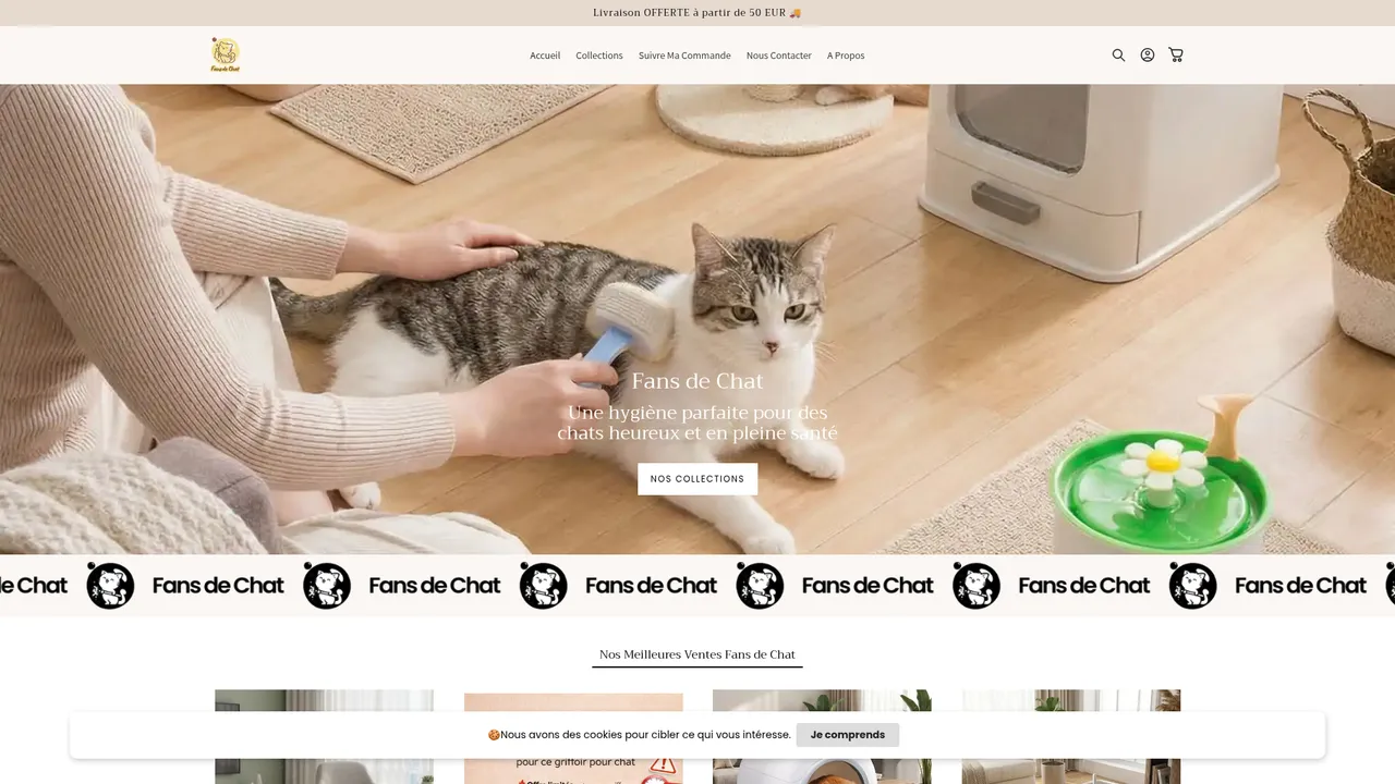 Aperçu du site fansdechat