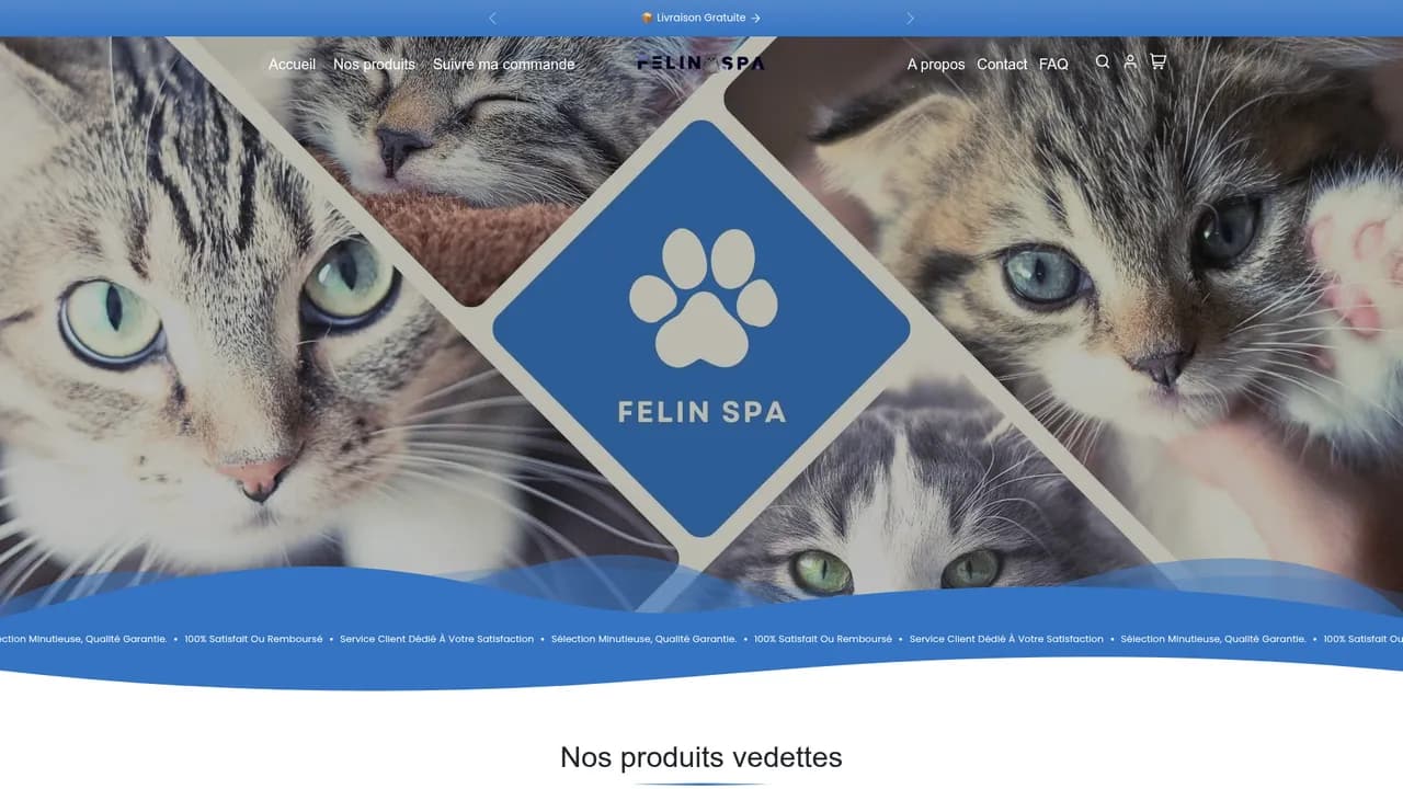 Screenshot de felinspa.com