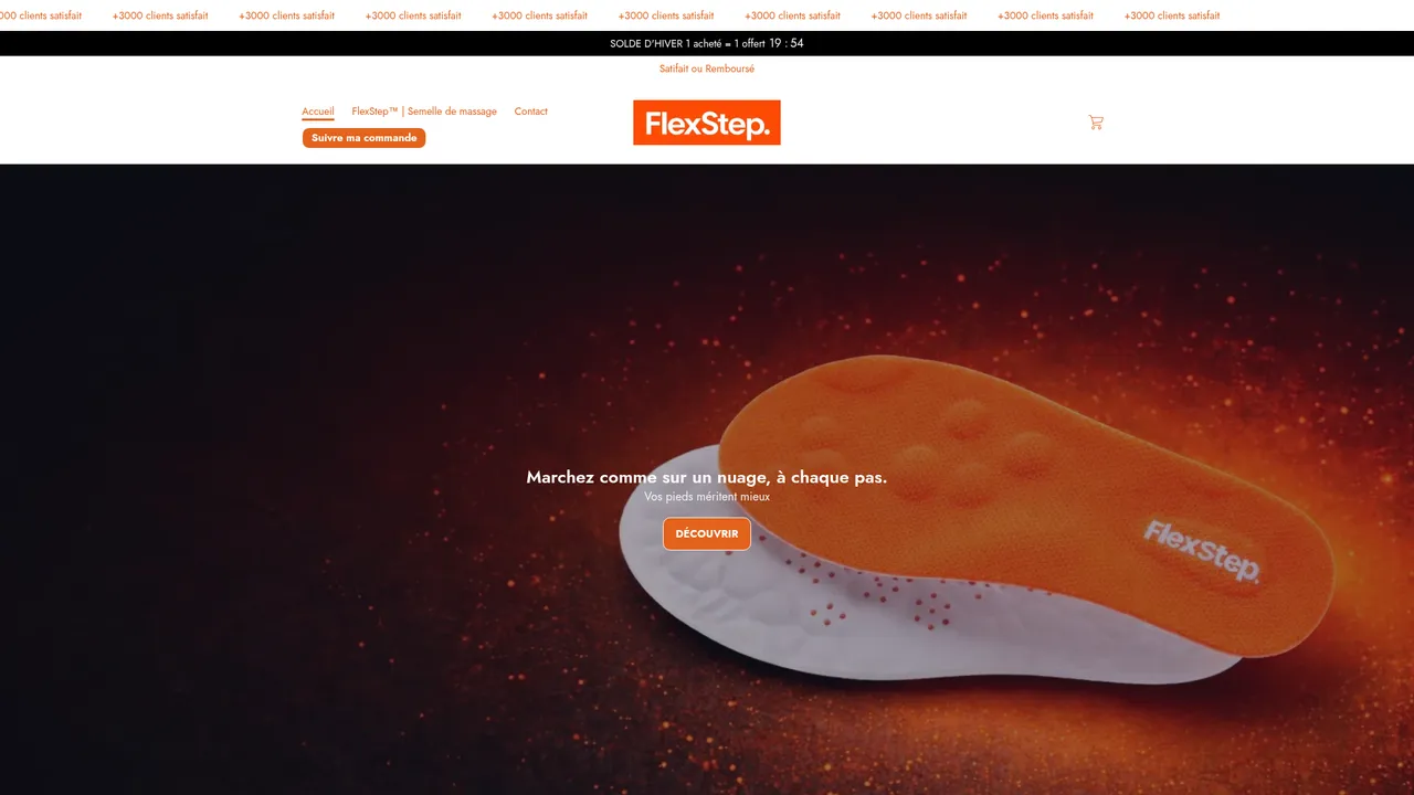 Screenshot de flexstep.net
