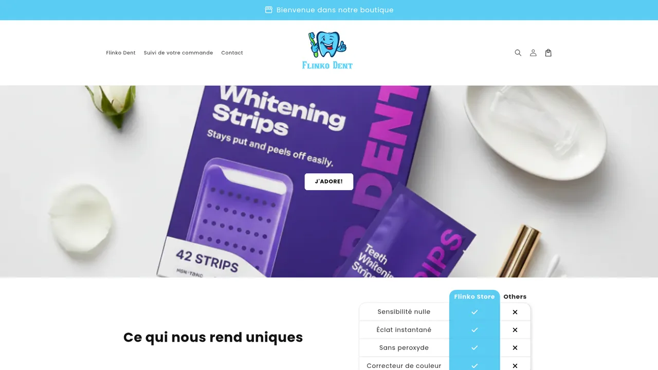 Aperçu du site Flinko Store