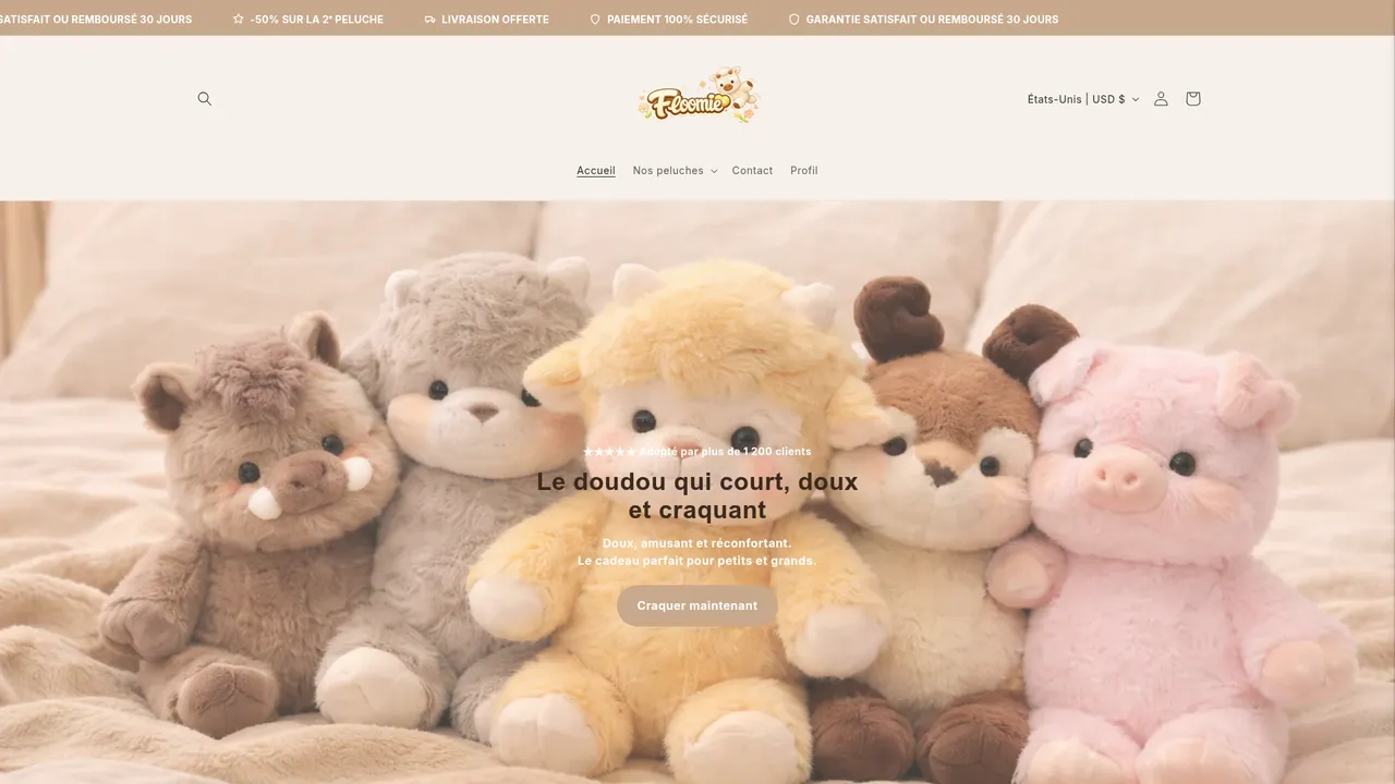 Screenshot de floomie.fr