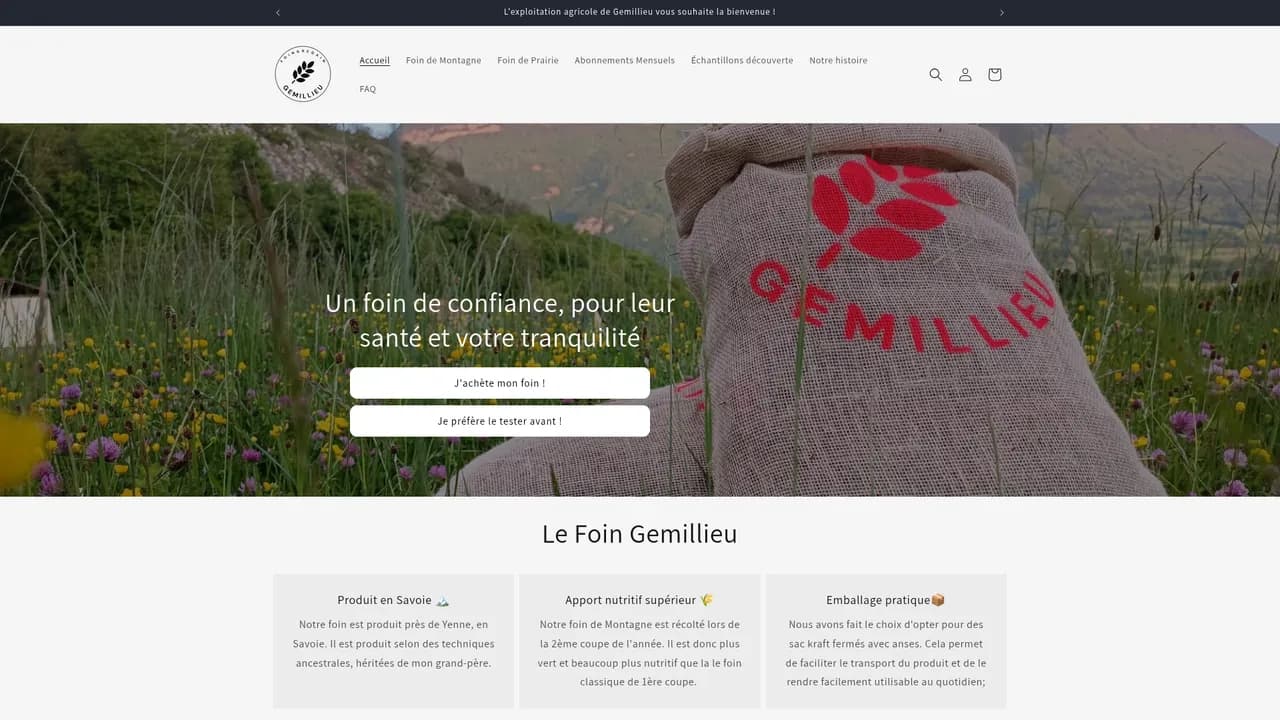 Aperçu du site Foin Gemillieu