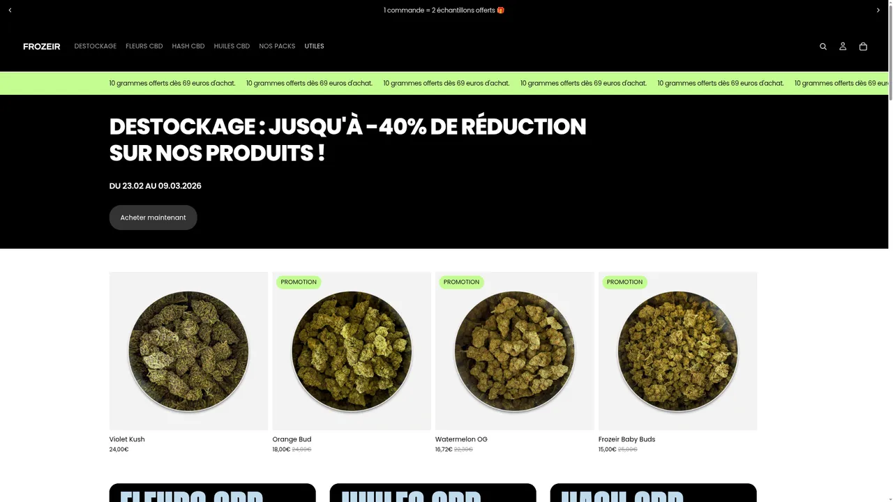 Aperçu du site FROZEIR