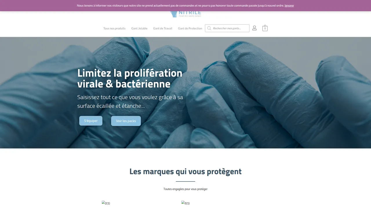 Aperçu du site Gant-nitrile.com