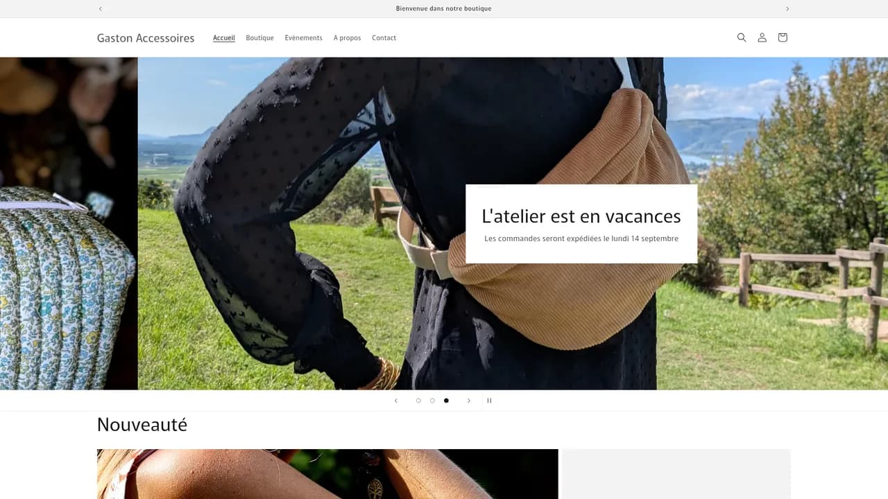 Aperçu du site Gaston Accessoires