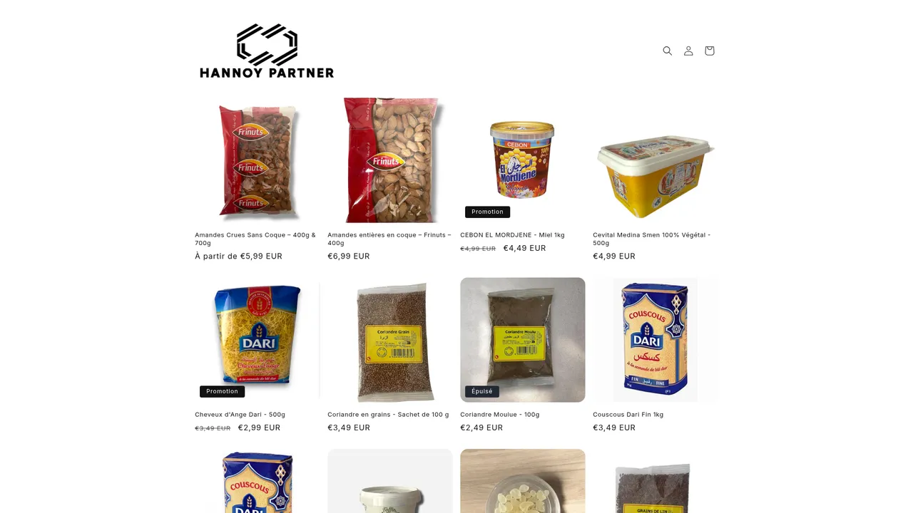 Aperçu du site Hannoy Partner