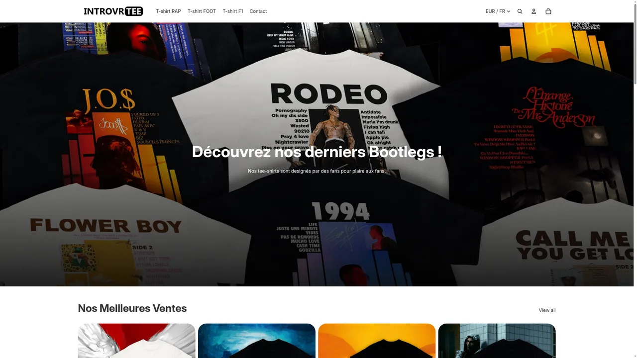 Aperçu du site introvrtee.com