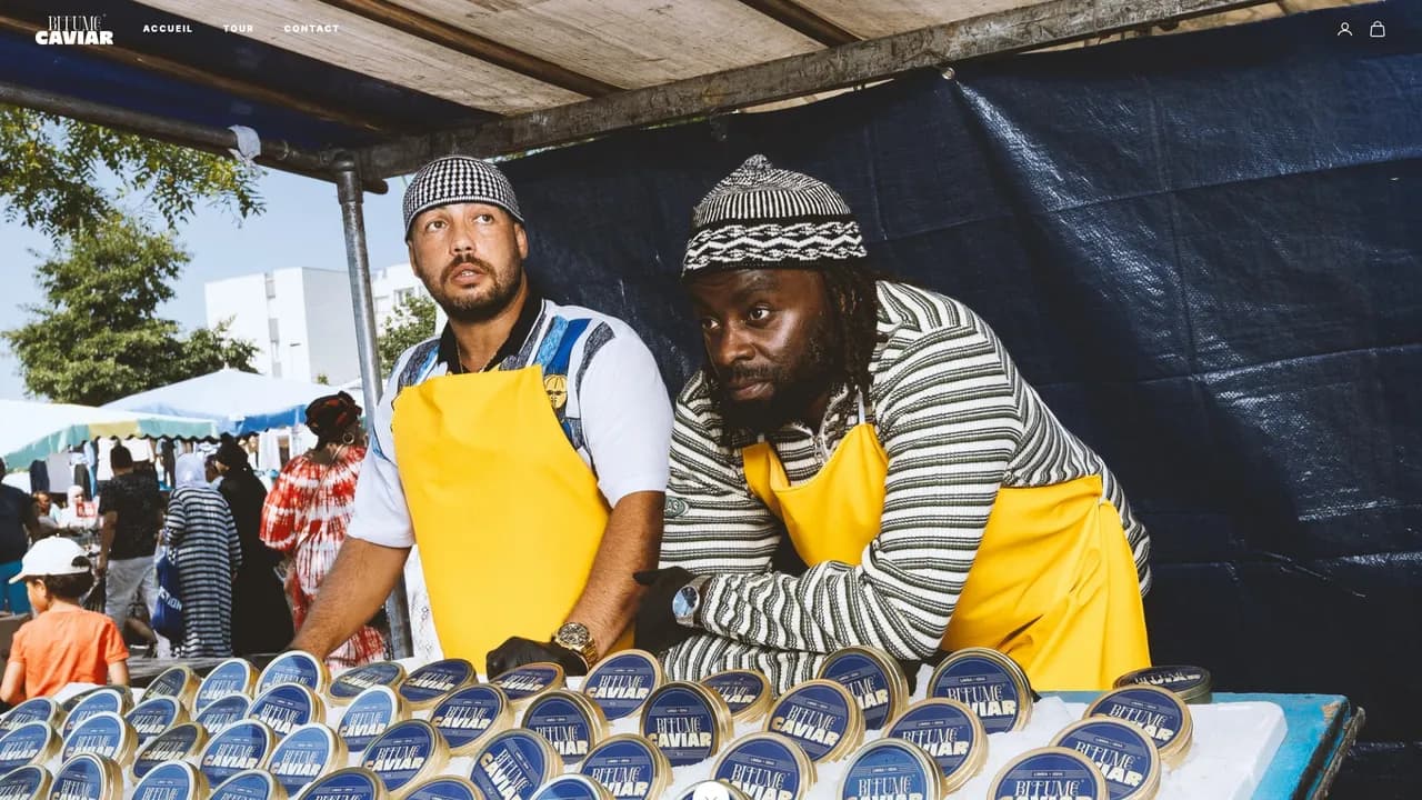 Aperçu du site ISHA & Limsa d'Aulnay - Bitume Caviar