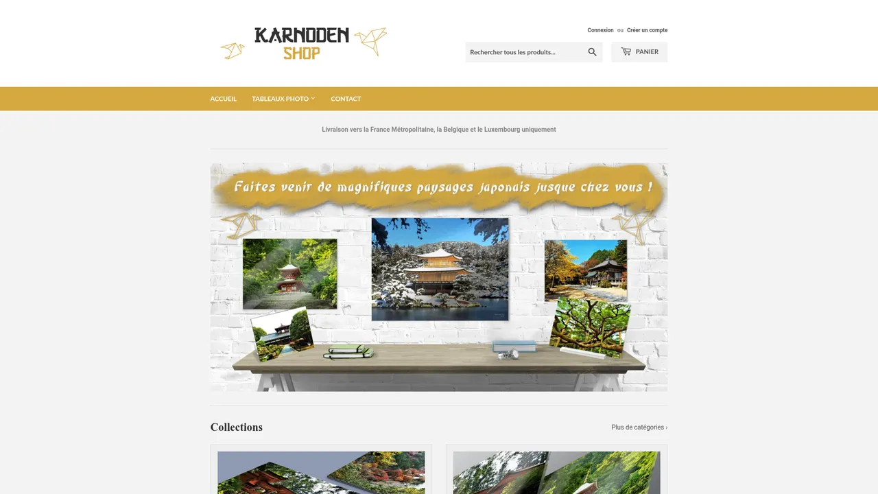 Aperçu du site Karnoden Shop