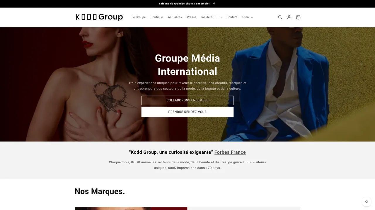Aperçu du site koddgroup.com
