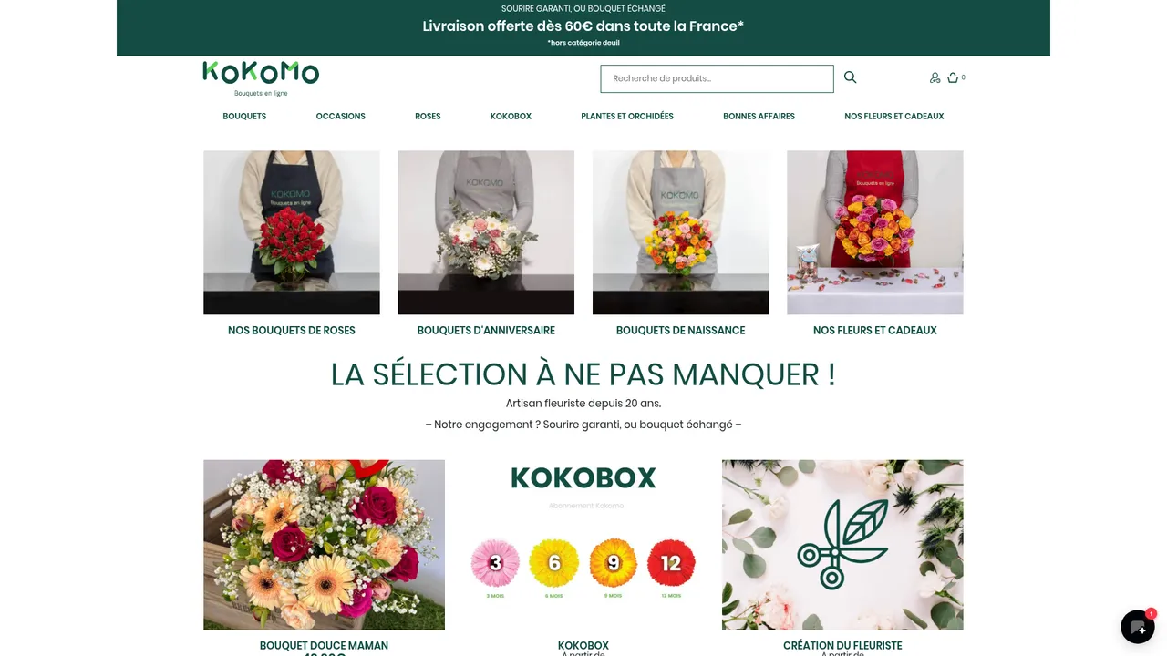 Screenshot de Kokomo.fr