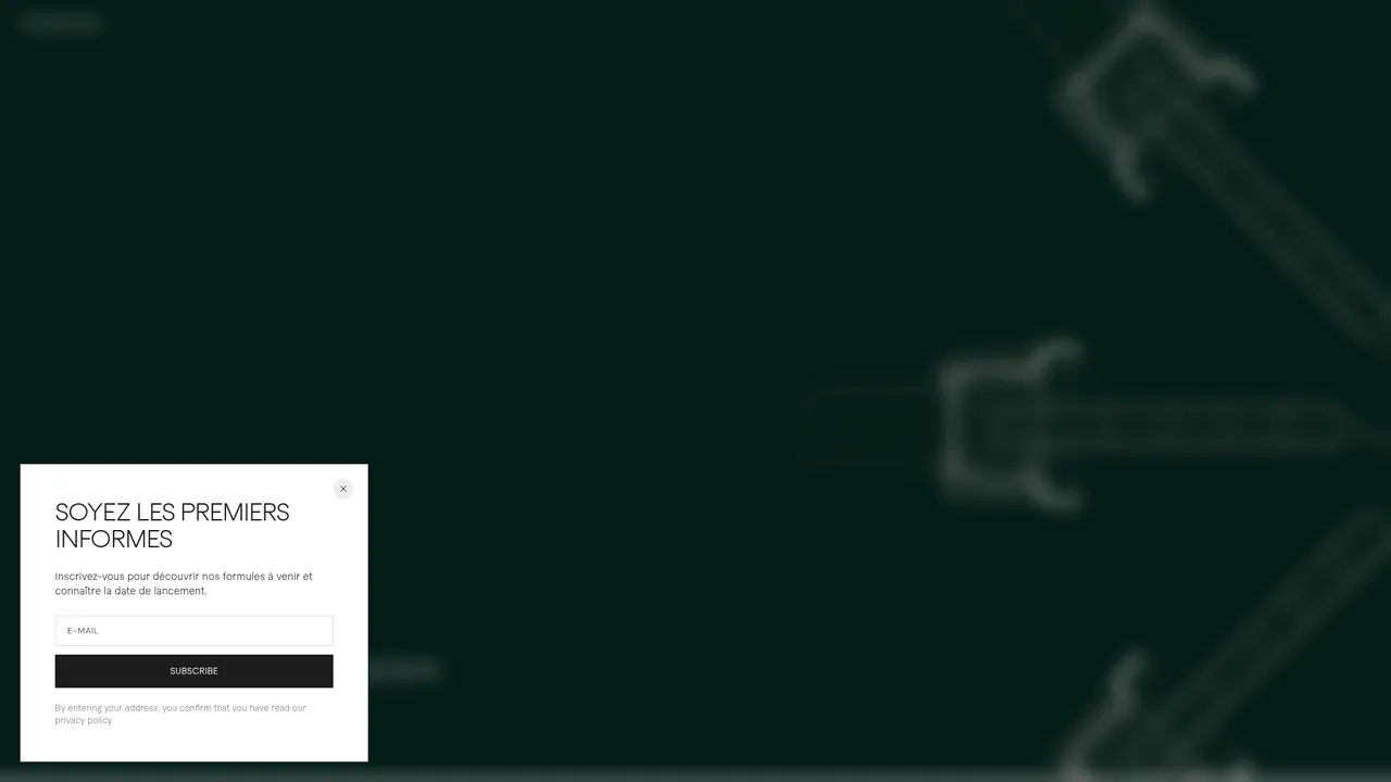 Aperçu du site konradcare.ch