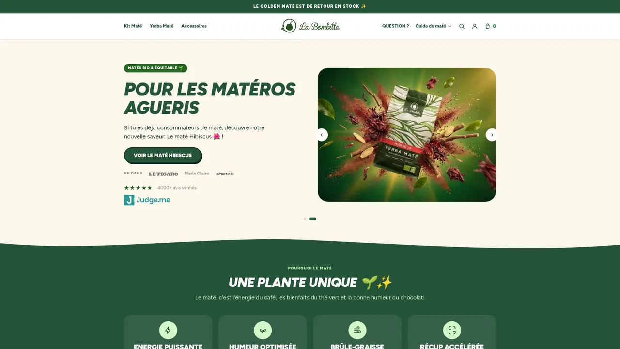 Aperçu du site La Bombilla