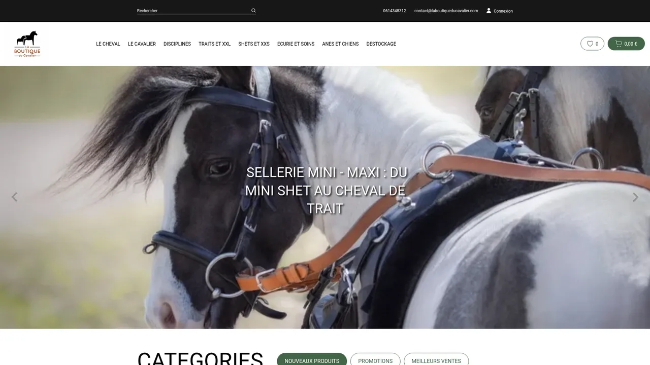 Aperçu du site La boutique du cavalier