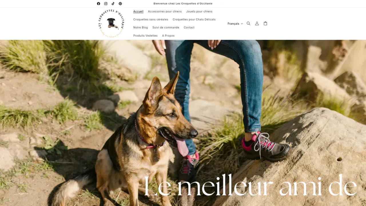Aperçu du site La Boutique en Live Cool