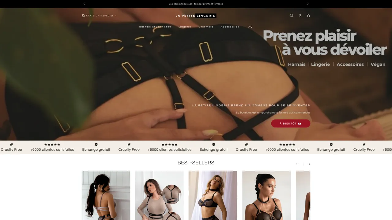Aperçu du site la petite lingerie