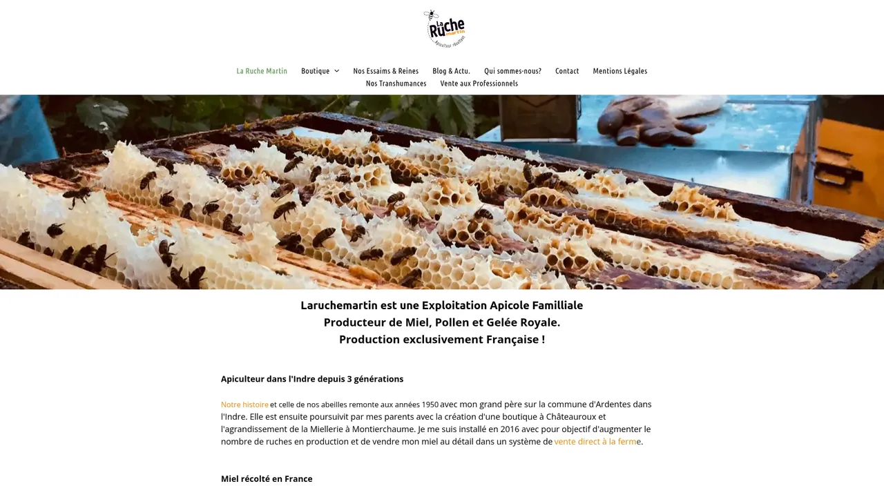 Aperçu du site La Ruche Martin