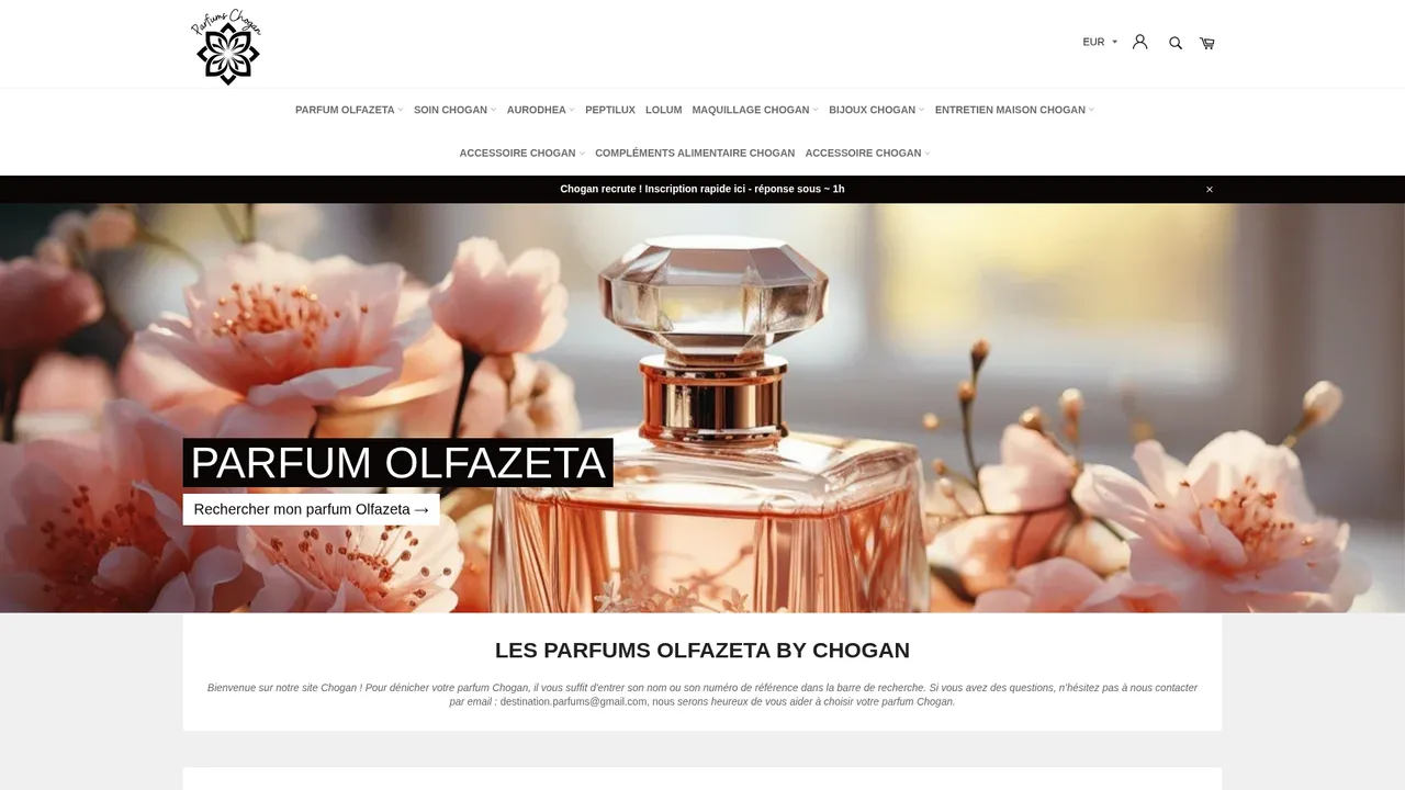 Aperçu du site La Vie en Chogan : bien-être