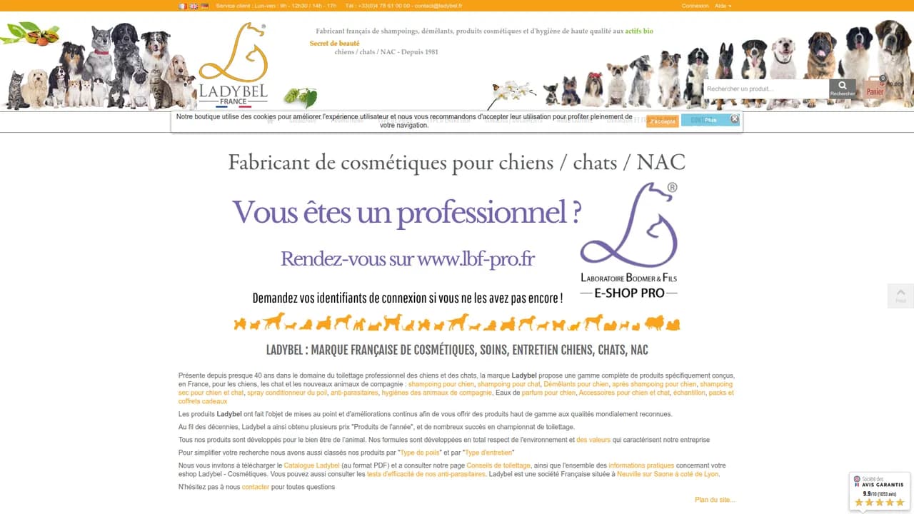 Aperçu du site Ladybel, la marque qui chouchoute vos animaux de compagnie