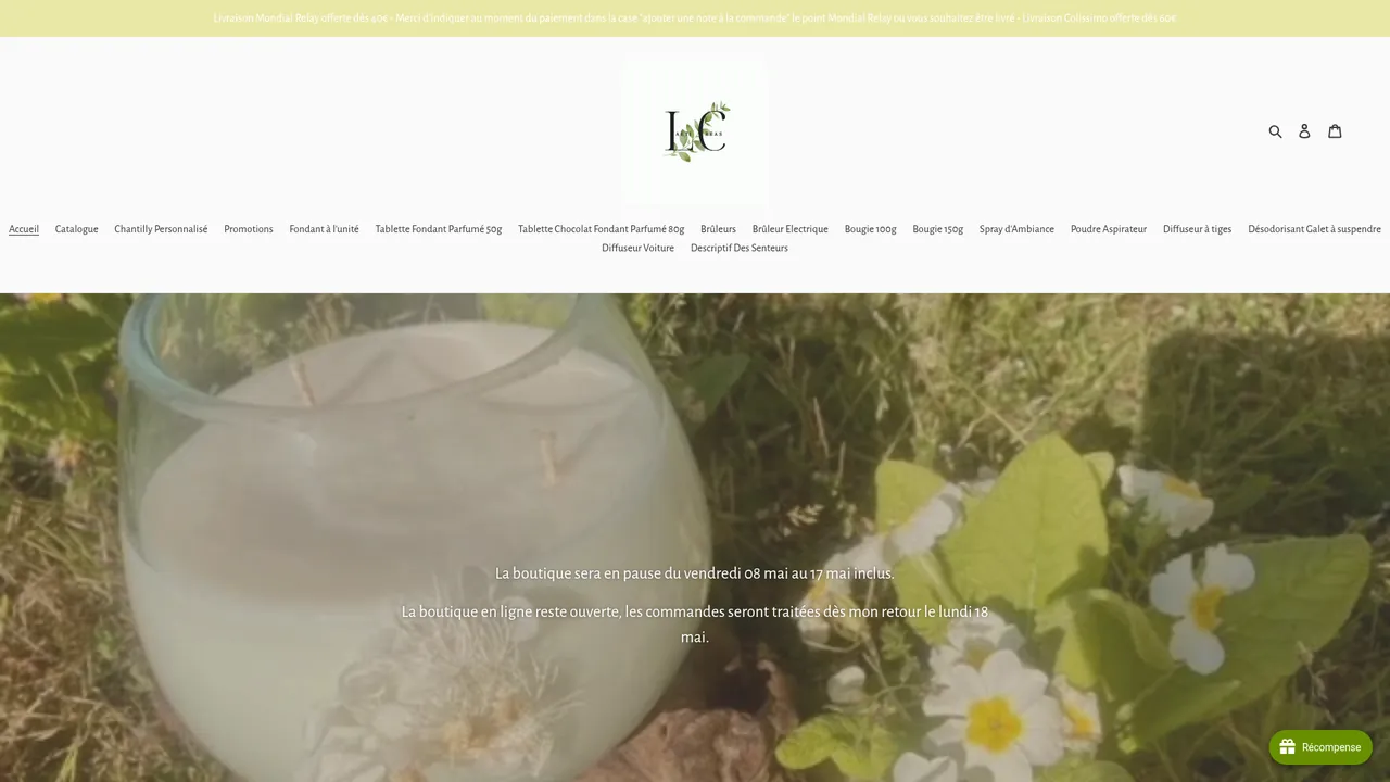 Aperçu du site Laëti'créas