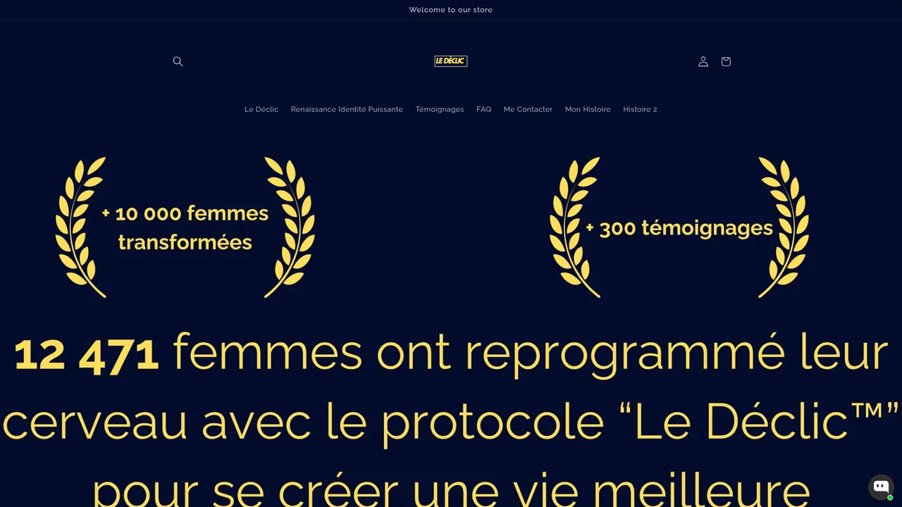 Aperçu du site Le Declic