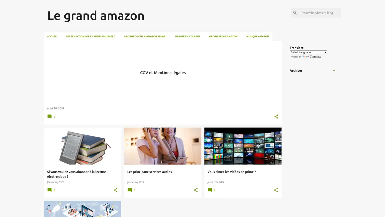 Aperçu du site Le grand amazon