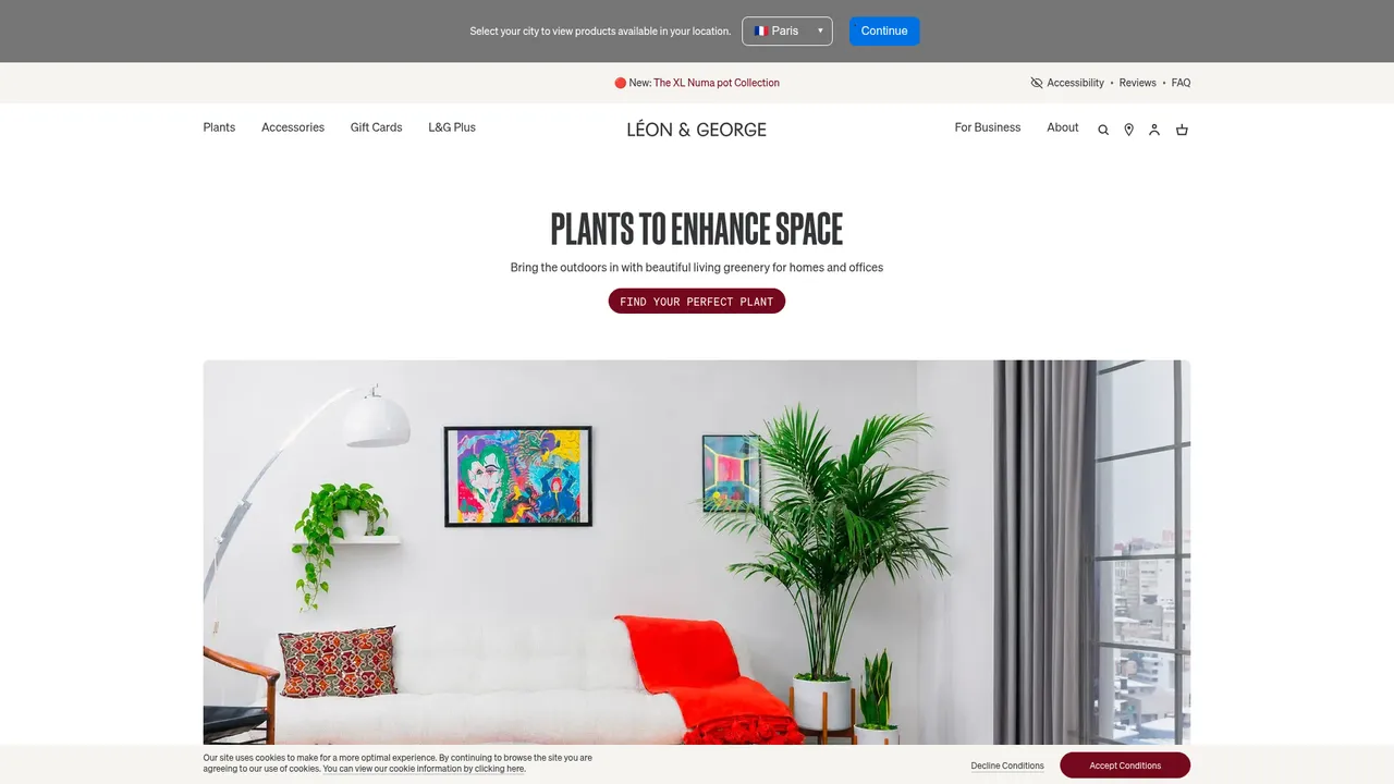 Aperçu du site Léon and George : Plantes et pot design