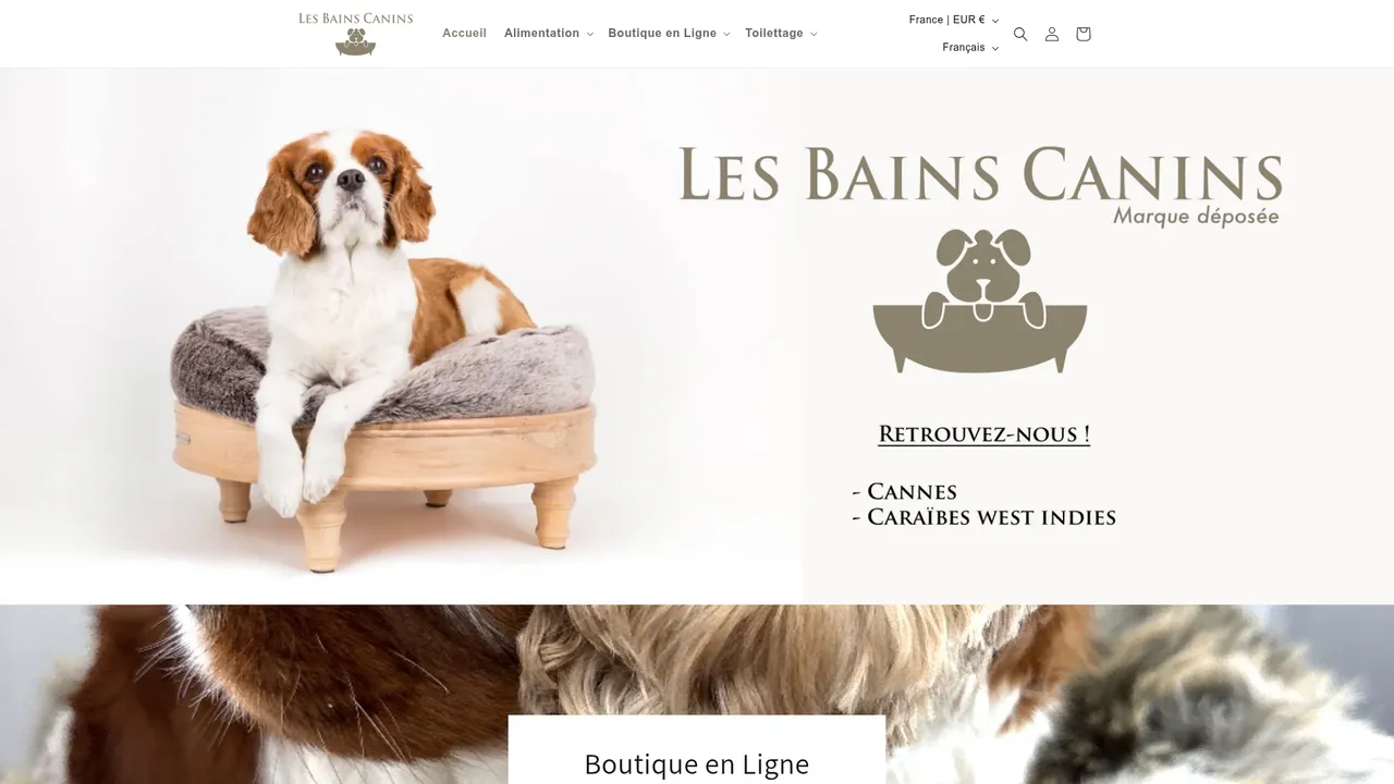 Screenshot de Les Bains Canins