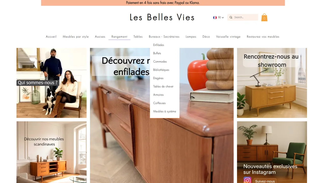 Aperçu du site Les Belles Vies