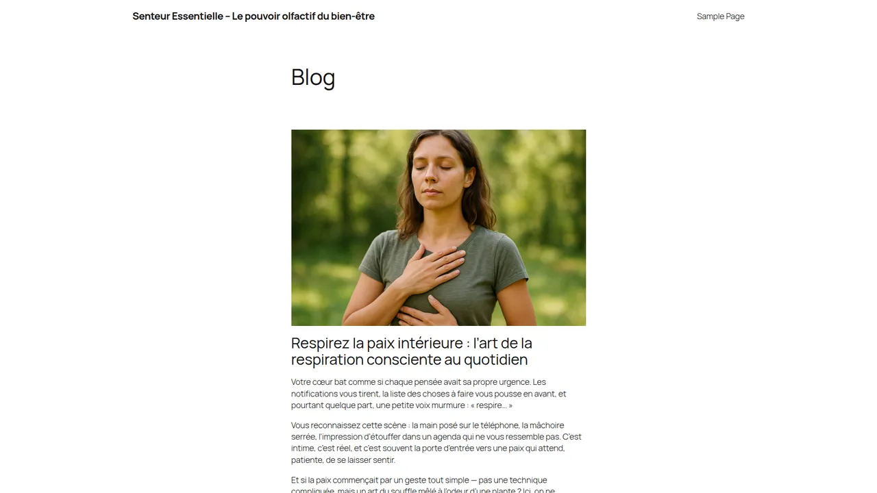 Aperçu du site Les meilleurs diffuseurs d'huile essentielle
