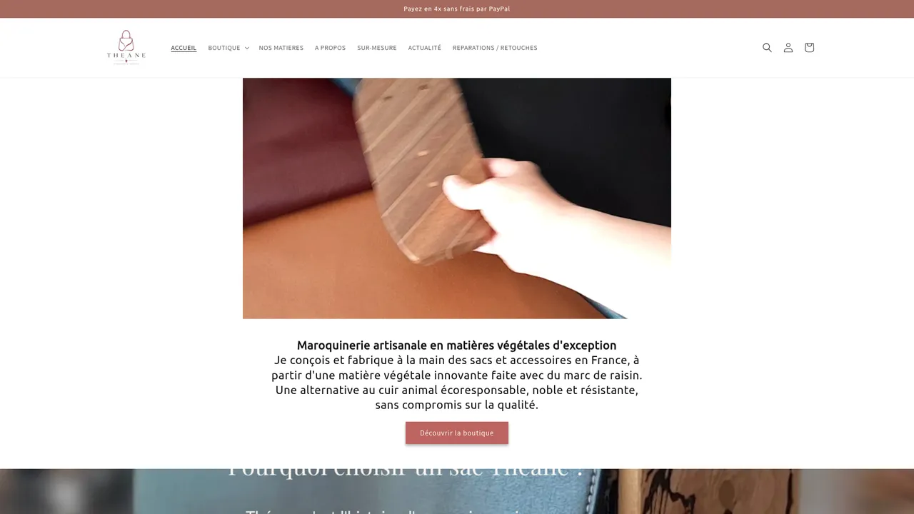 Aperçu du site Les sacs de Théane