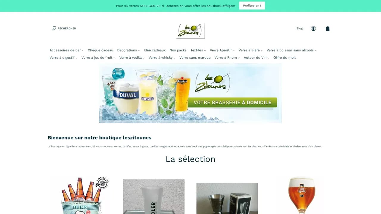 Aperçu du site leszitounes