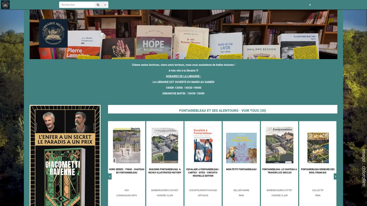 Aperçu du site Librairie Michel