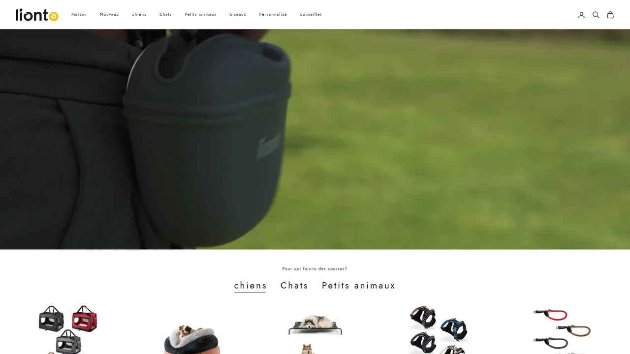 Screenshot de lionto.fr