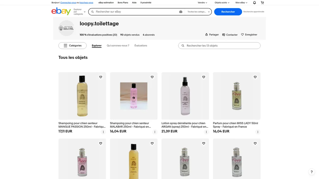 Aperçu du site Loopy toilettage