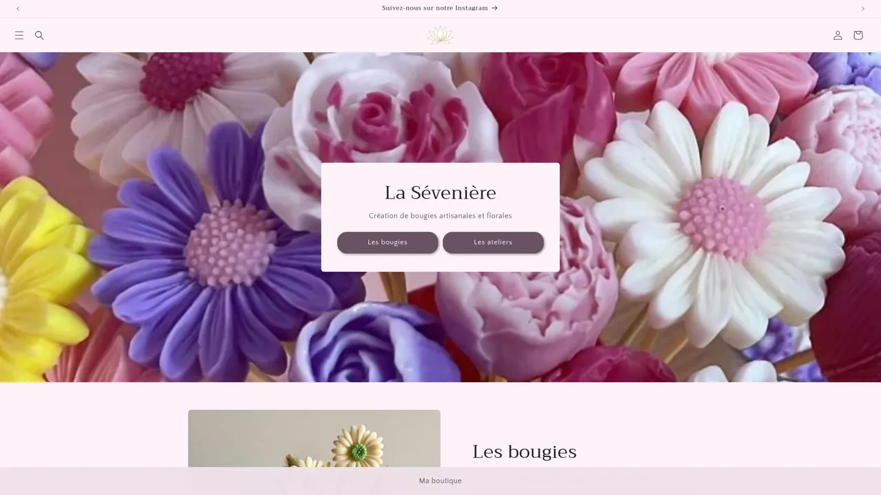 Aperçu du site Ma boutique