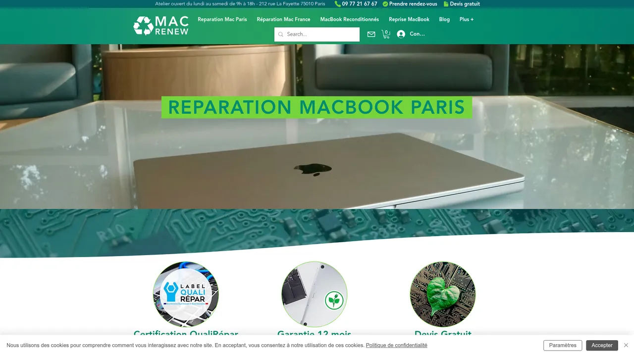 Aperçu du site Mac Renew