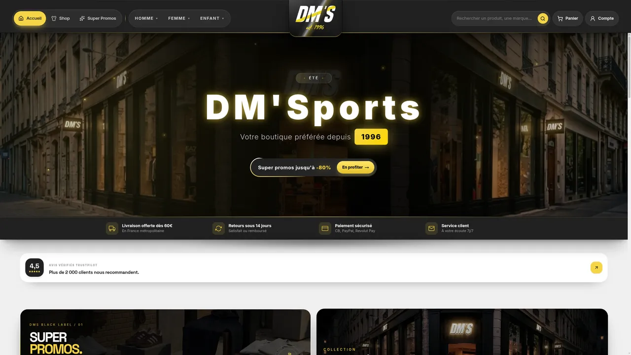 Aperçu du site DMSPORTS : Prêt à porter sur Lyon