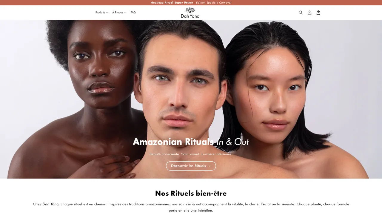 Aperçu du site Maison Dah Yana