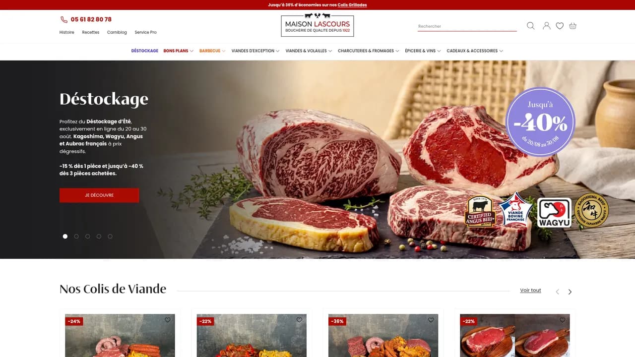 Aperçu du site Maison Lascours
