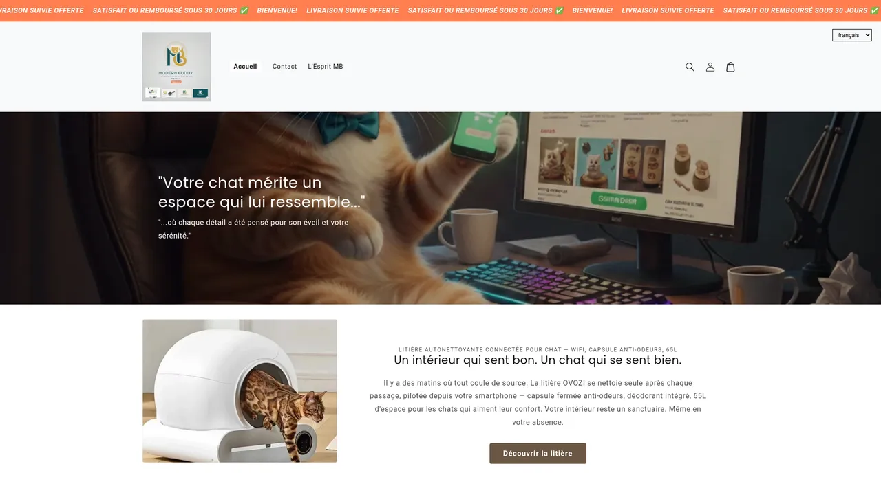 Screenshot de mbproject.fr
