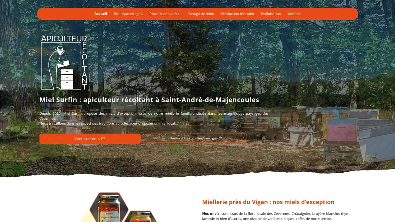 Screenshot de mielsurfin.fr