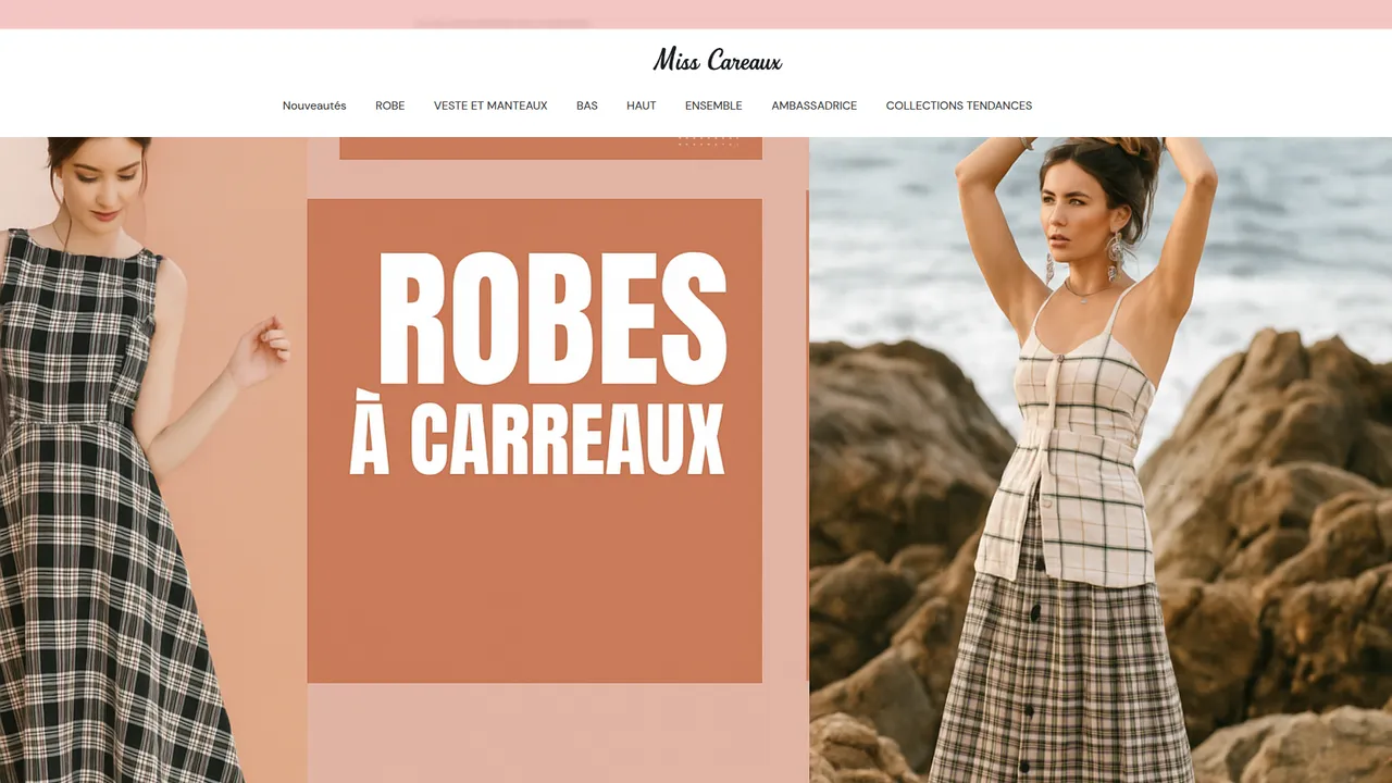 Aperçu du site Miss-Carreaux