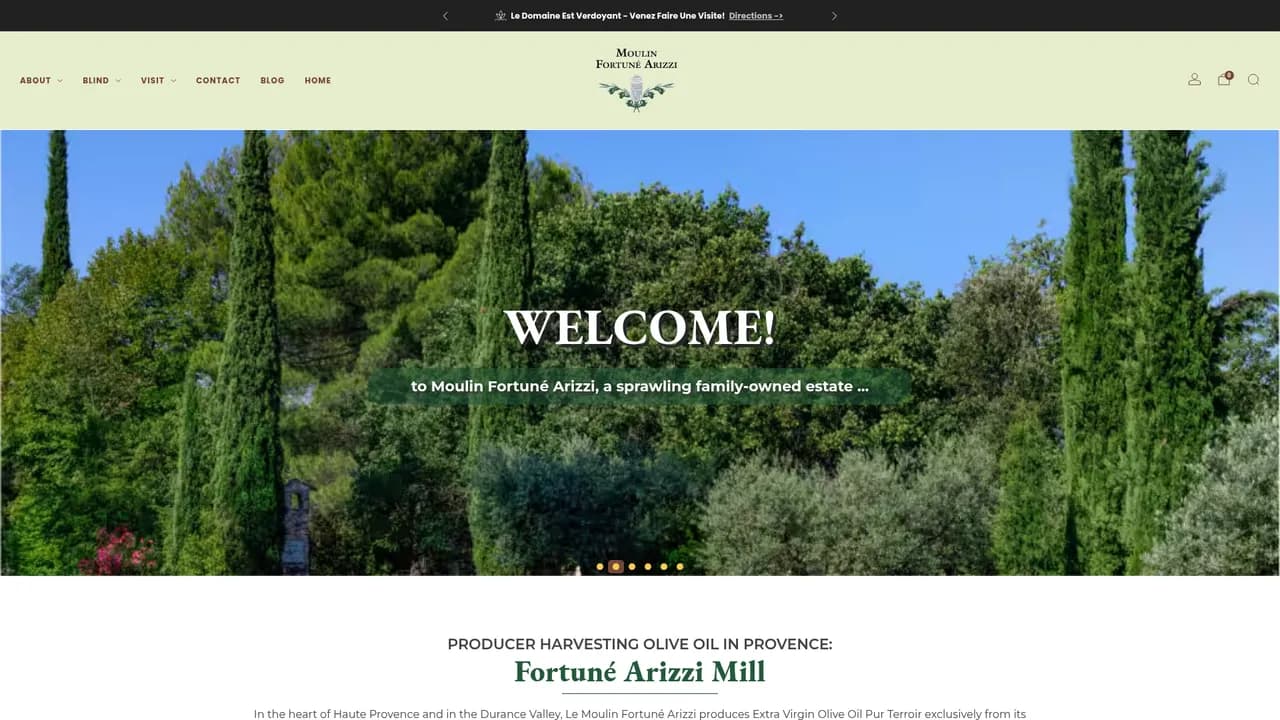 Aperçu du site Moulin Fortuné Arizzi