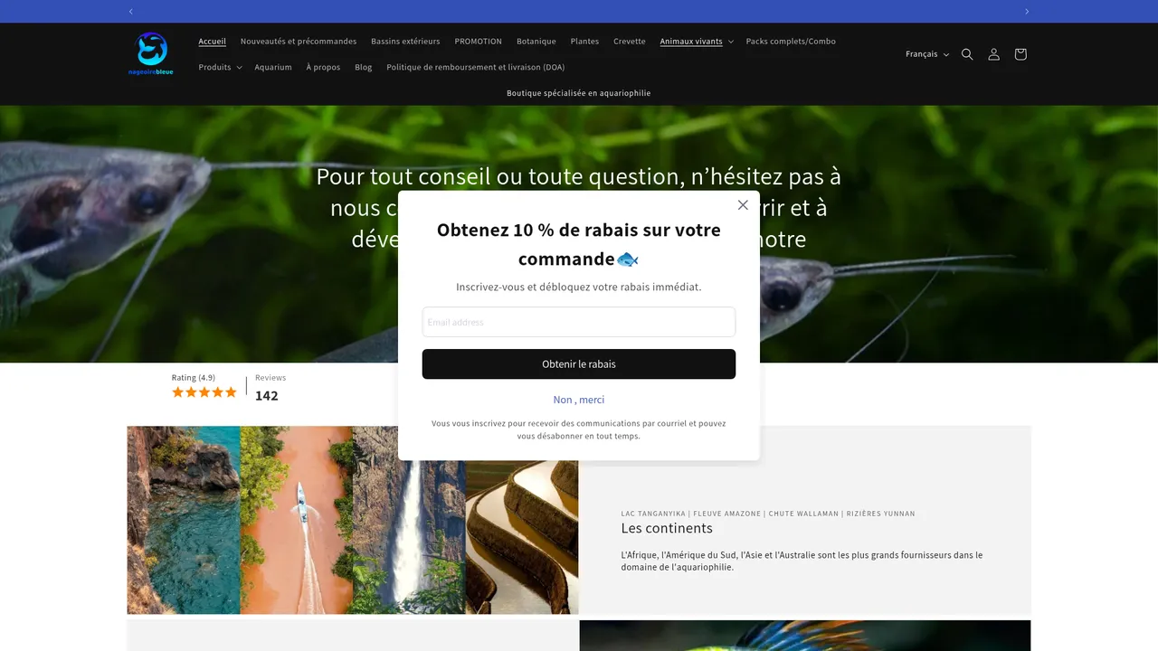 Aperçu du site NageoireBleue