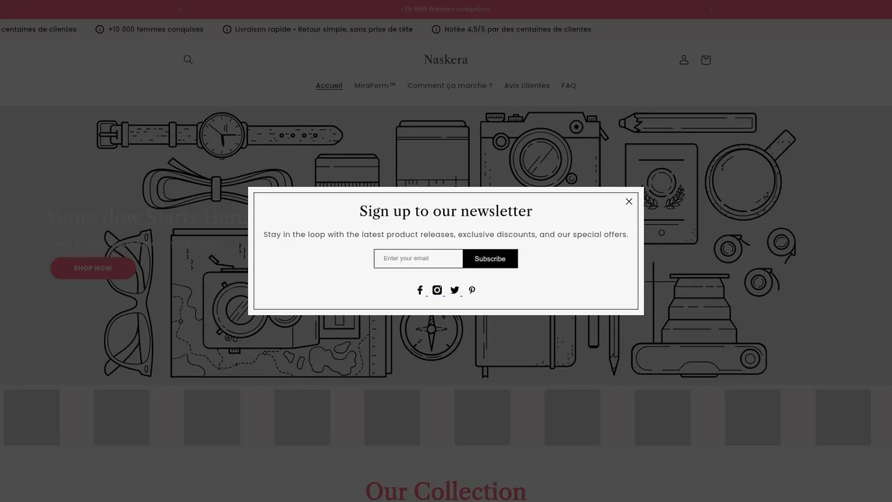 Aperçu du site Naskera