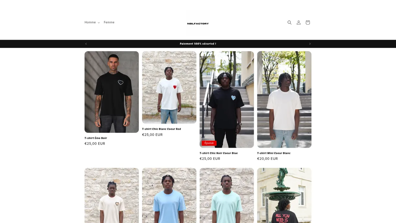 Aperçu du site Nblfactory