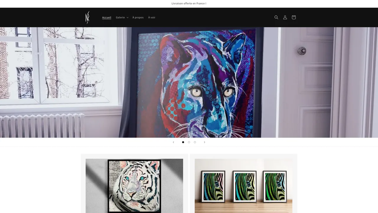 Screenshot de nsr.galerie