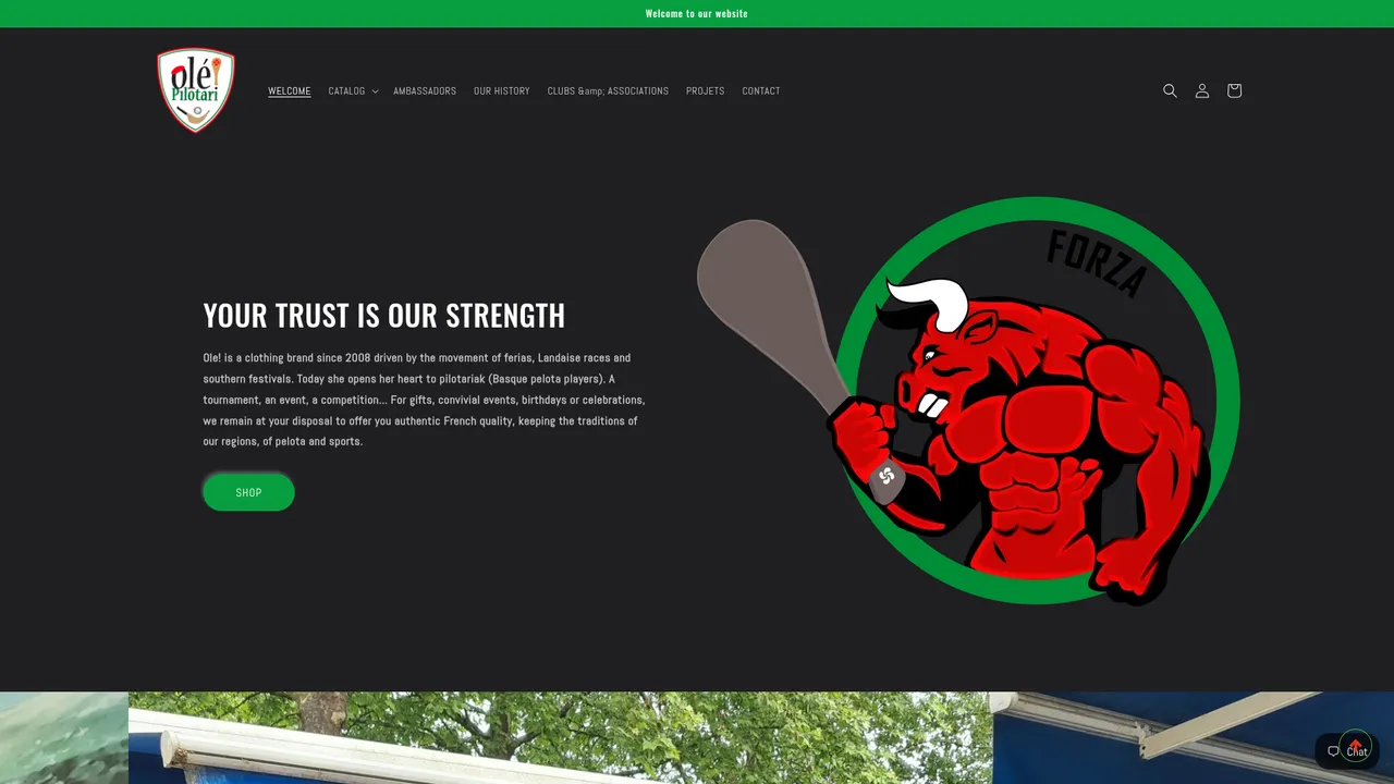 Aperçu du site ole-pilotari
