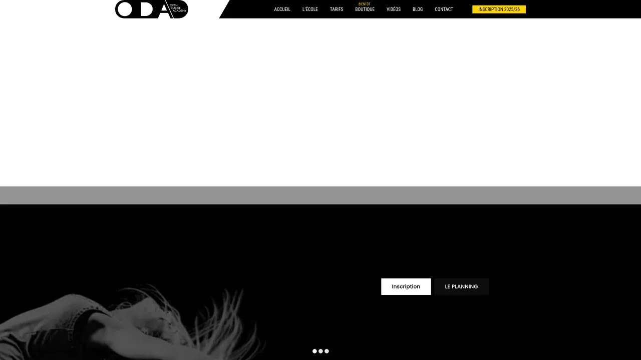 Screenshot de opendanse.fr